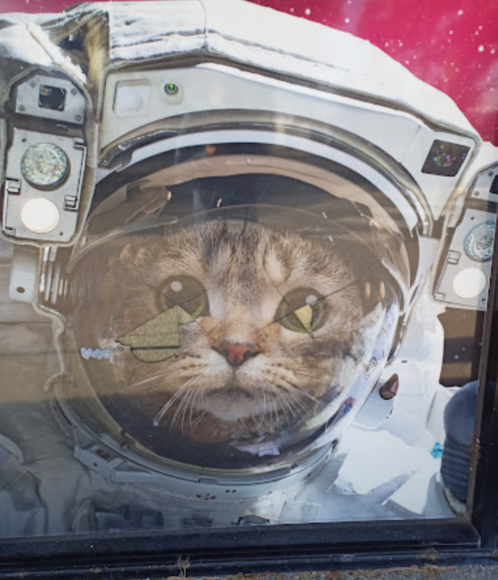 Astronaut Kitty