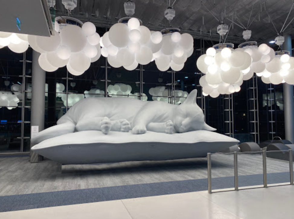 Terminal 2E Sleeping Cat