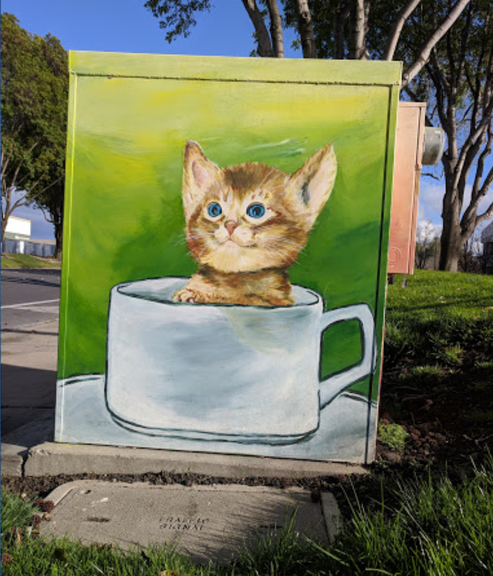 Humane Society Painted Electric