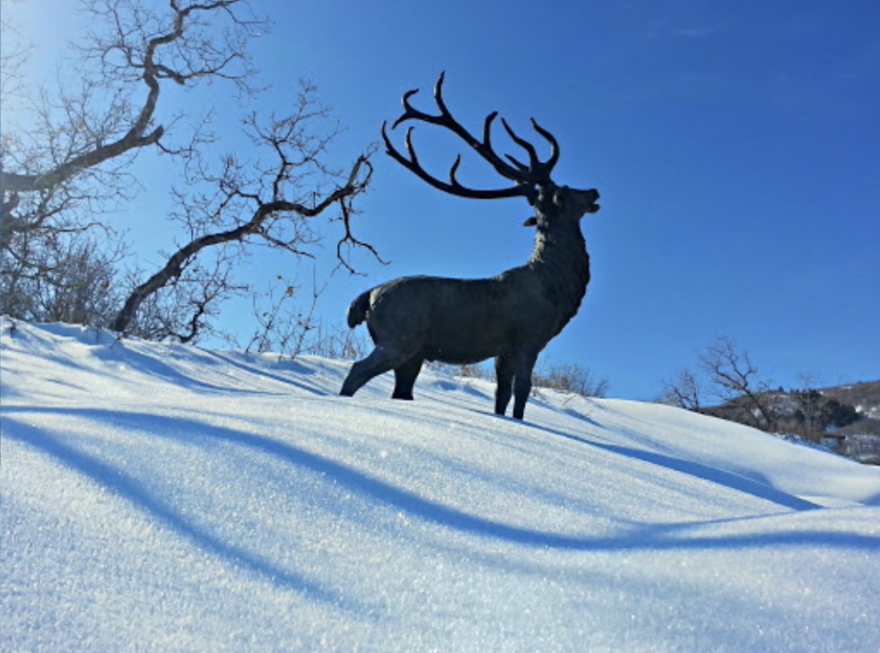 Studly Elk Statue