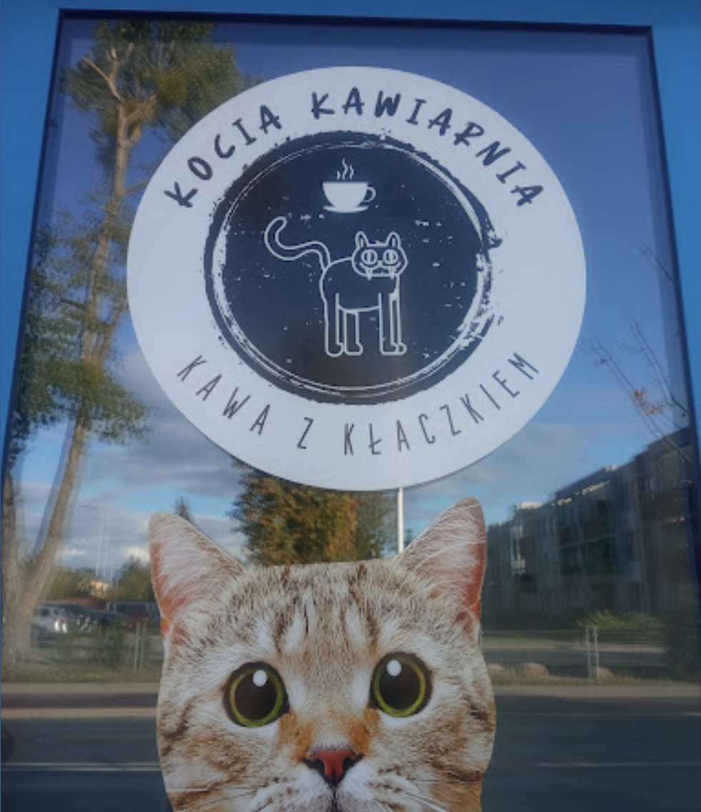 Kocia kawiarnia