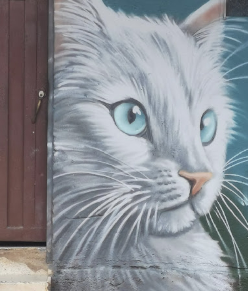 Mural Gato Blanco Michlin