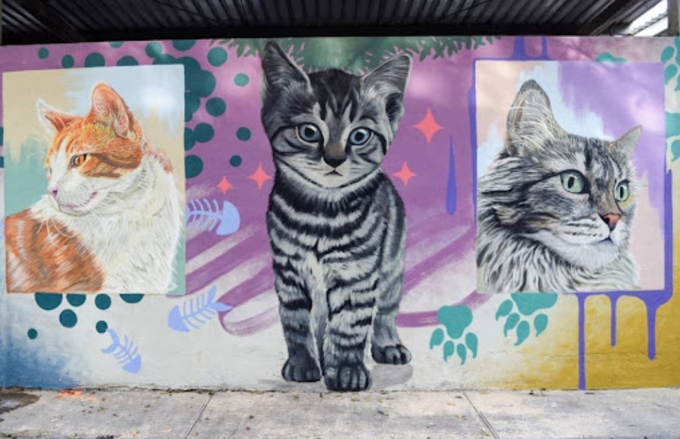 Mural del gato
