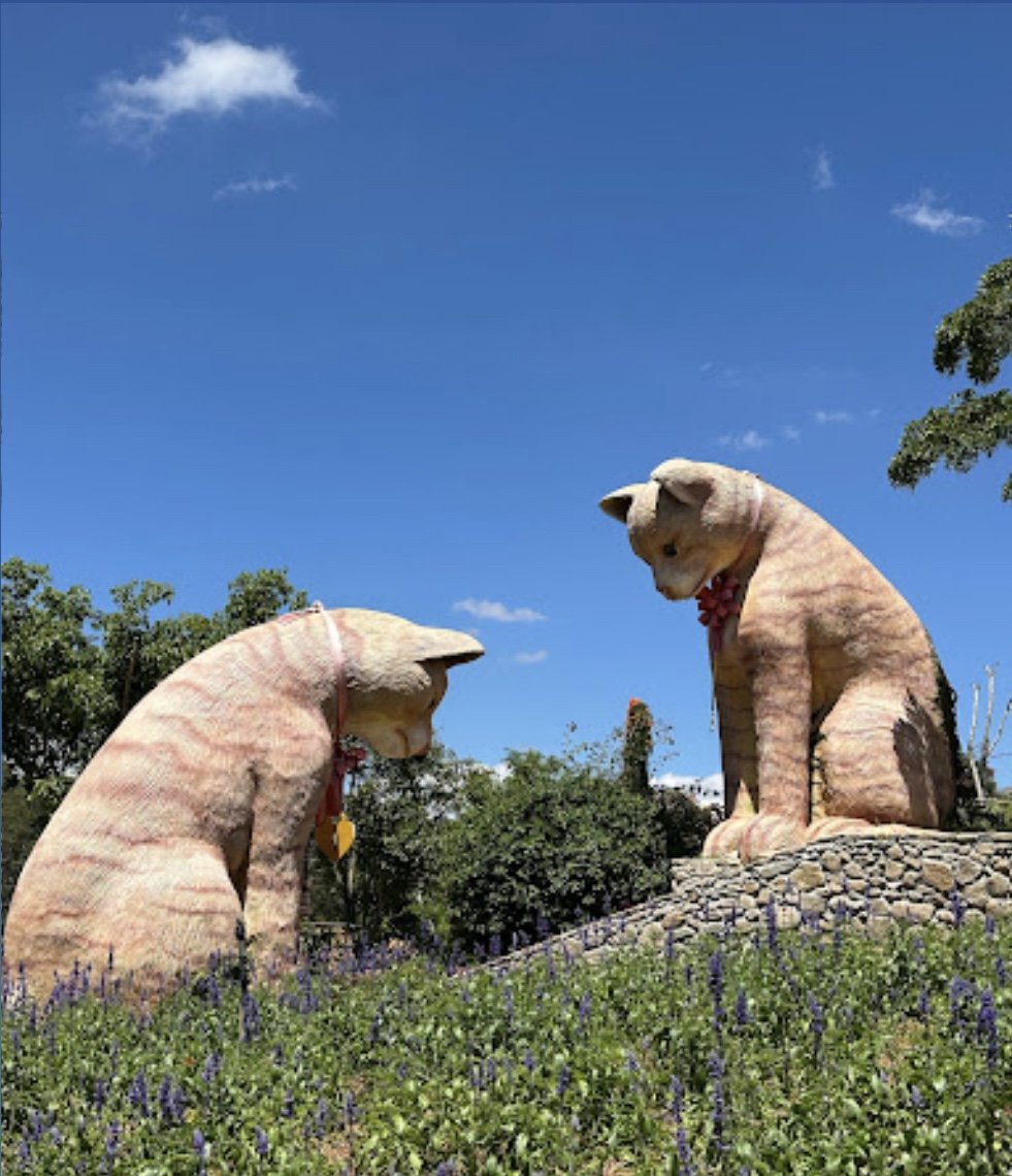 Tác phẩm đôi mèo