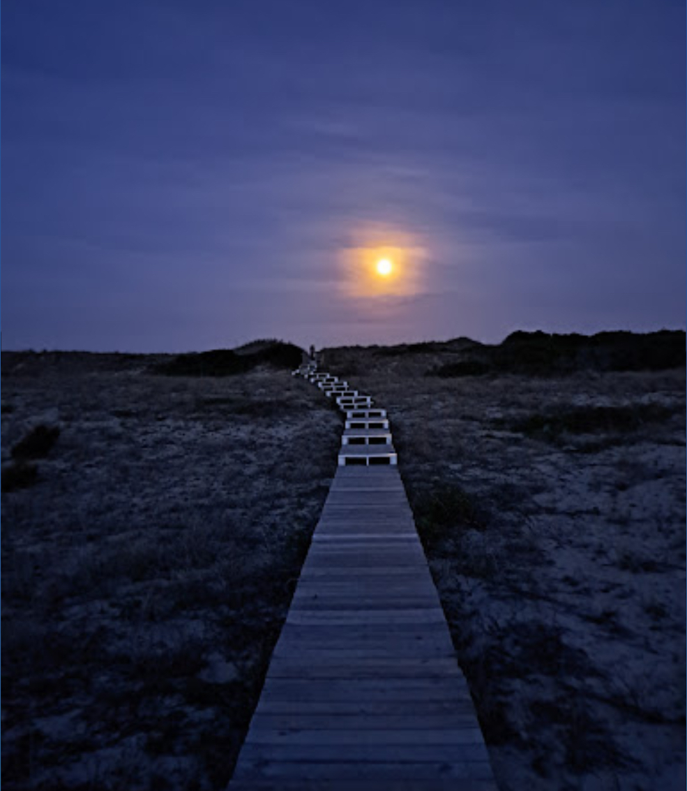 The Farrow Community Beach Footbridge