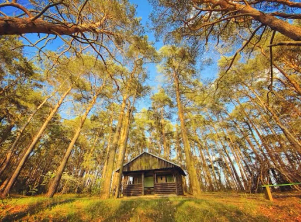 Schutzhüttchen Niewisch