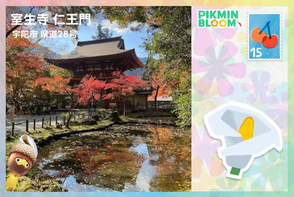 室生寺 仁王門🍁