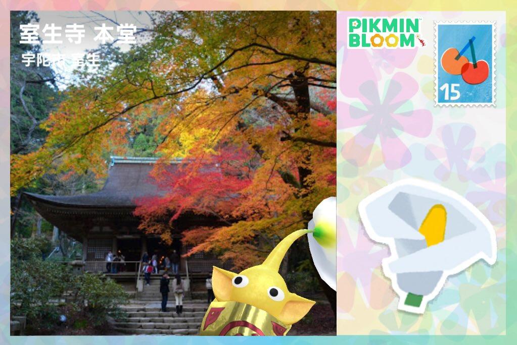 室生寺 本堂🍁