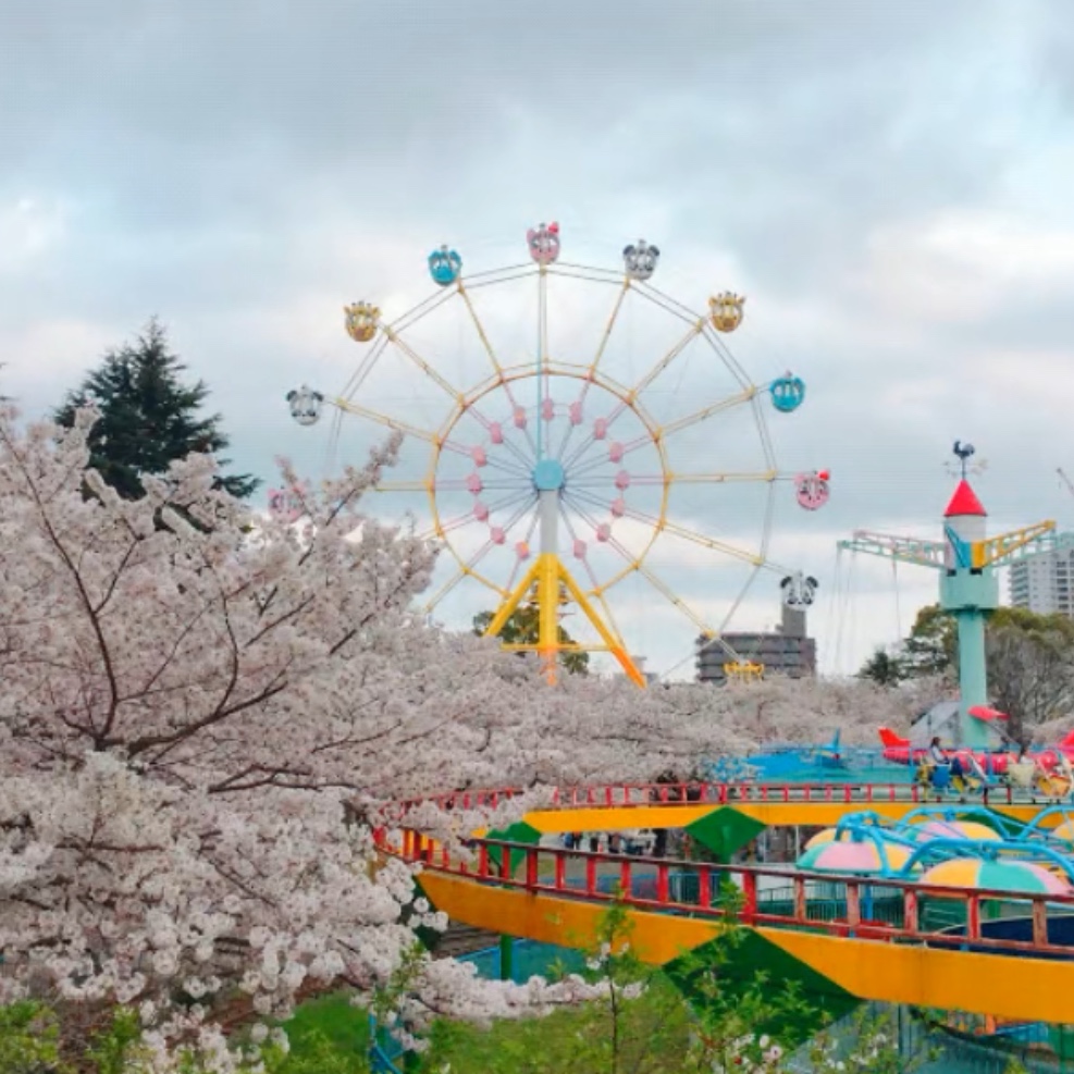 どうぶつ観覧車