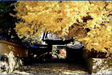 靈山寺(Leizan temple)