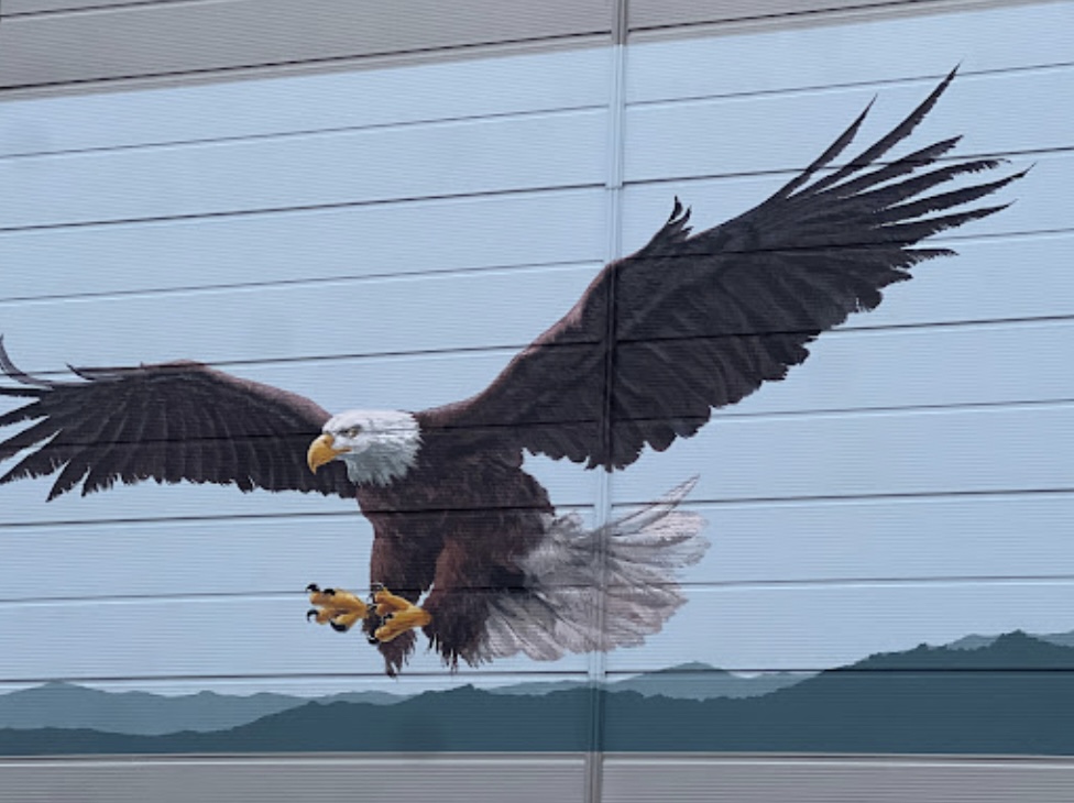 비상하는 독수리