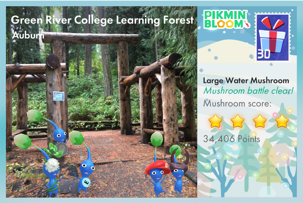 Green River College Learning Forest