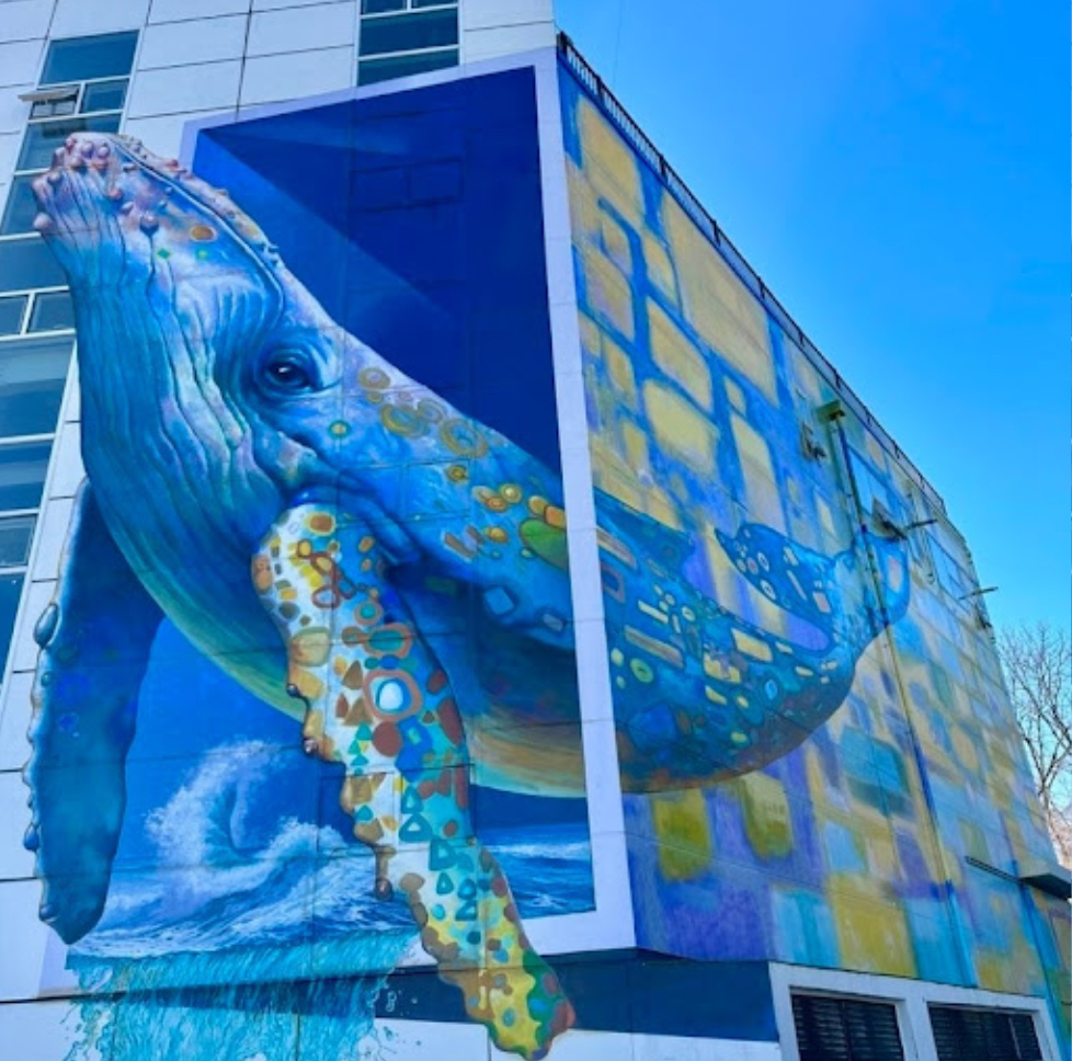수산공원 고래벽화