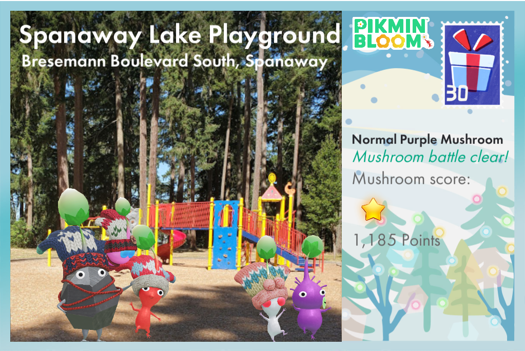 Spanaway Lake Playground