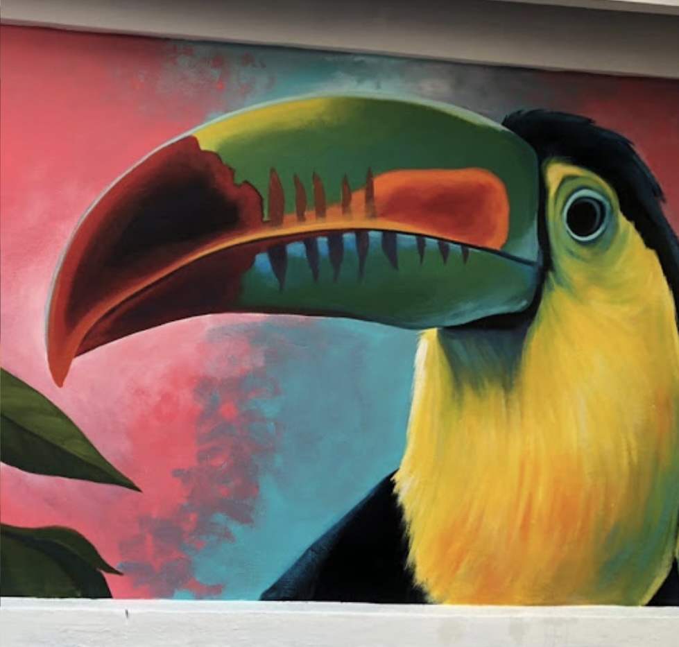 National Bird of Belize