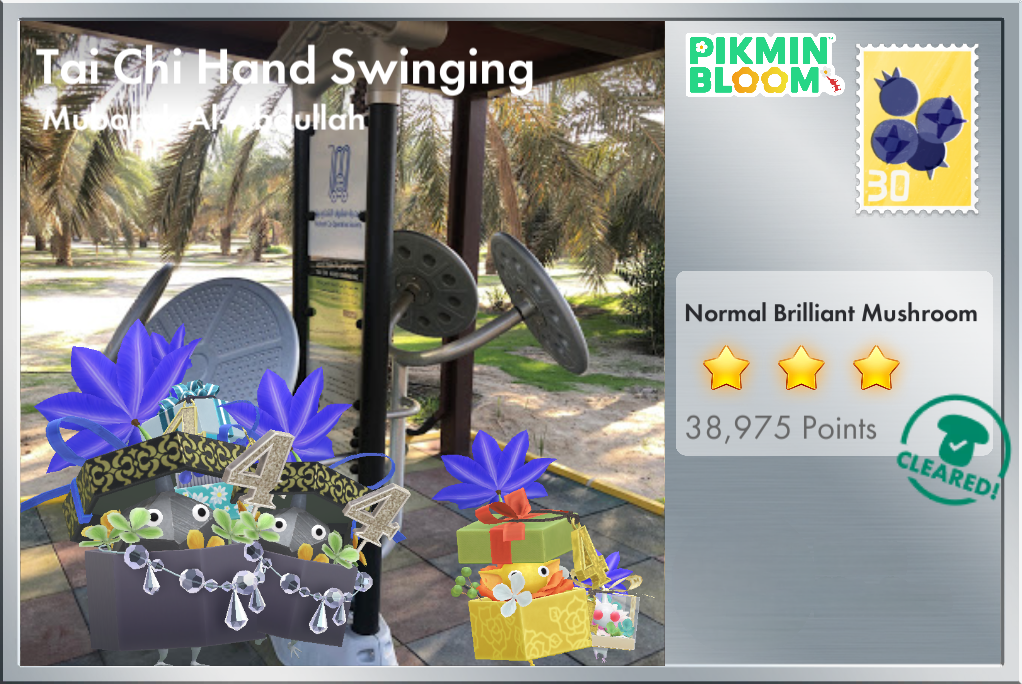 Tai Chi Hand Swinging