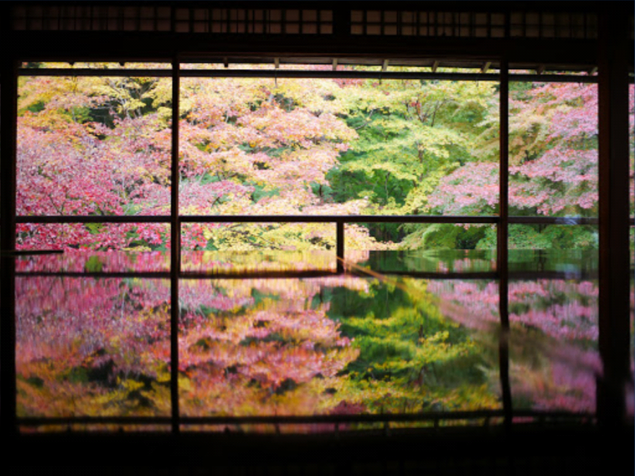 Ruriko-in Temple