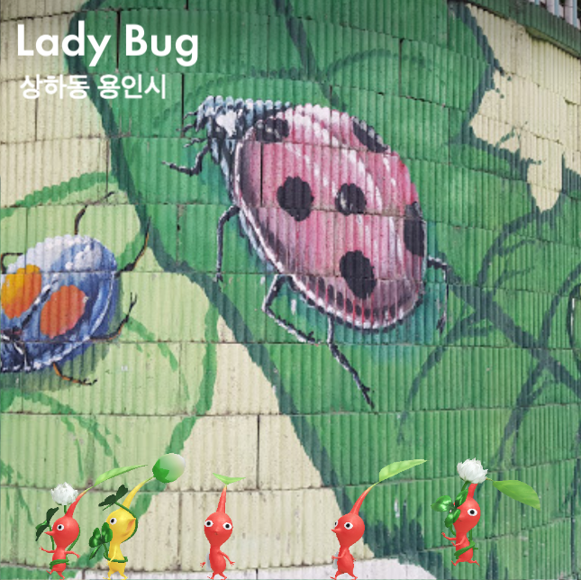 lady bug