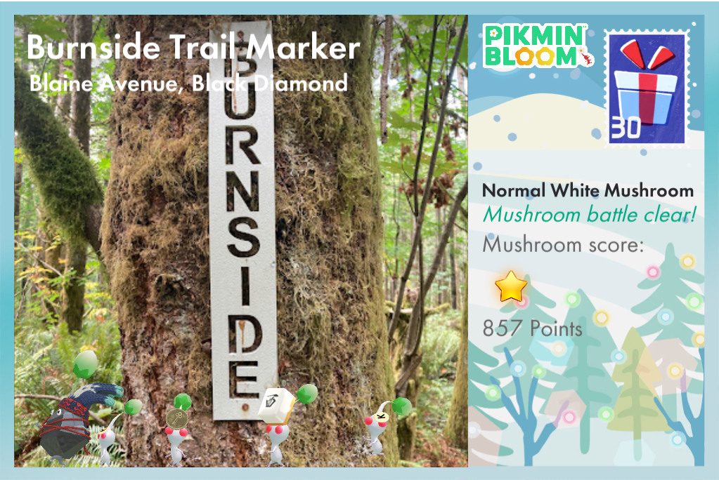 Burnside Trail Marker