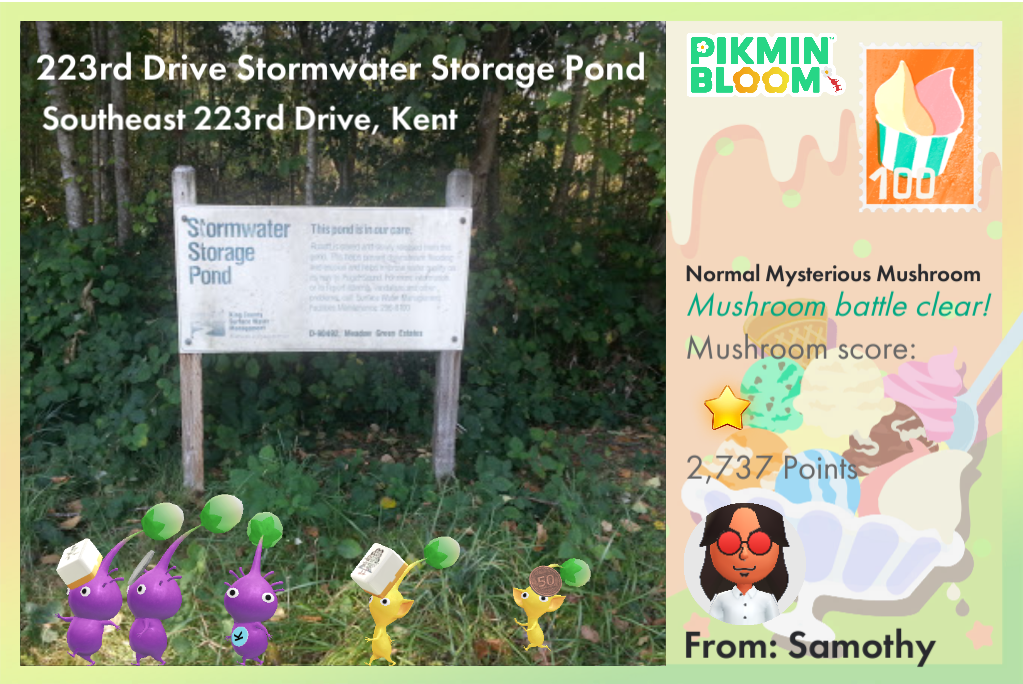 223rd Drive Stormwater Storage Pond