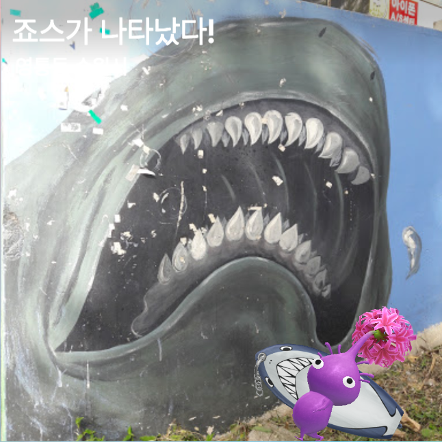 죠스가 나타났다!