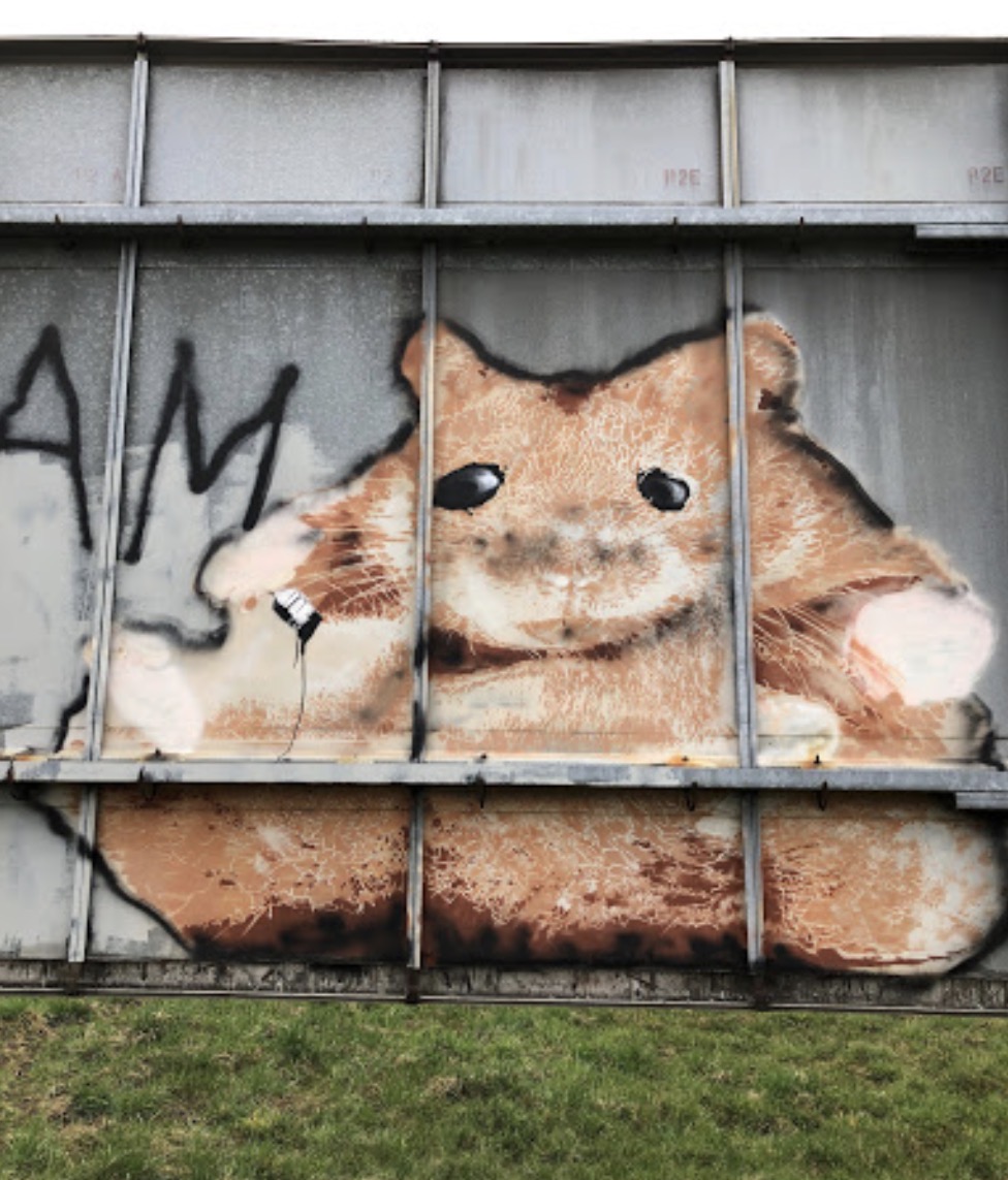 Hamster Graffiti
