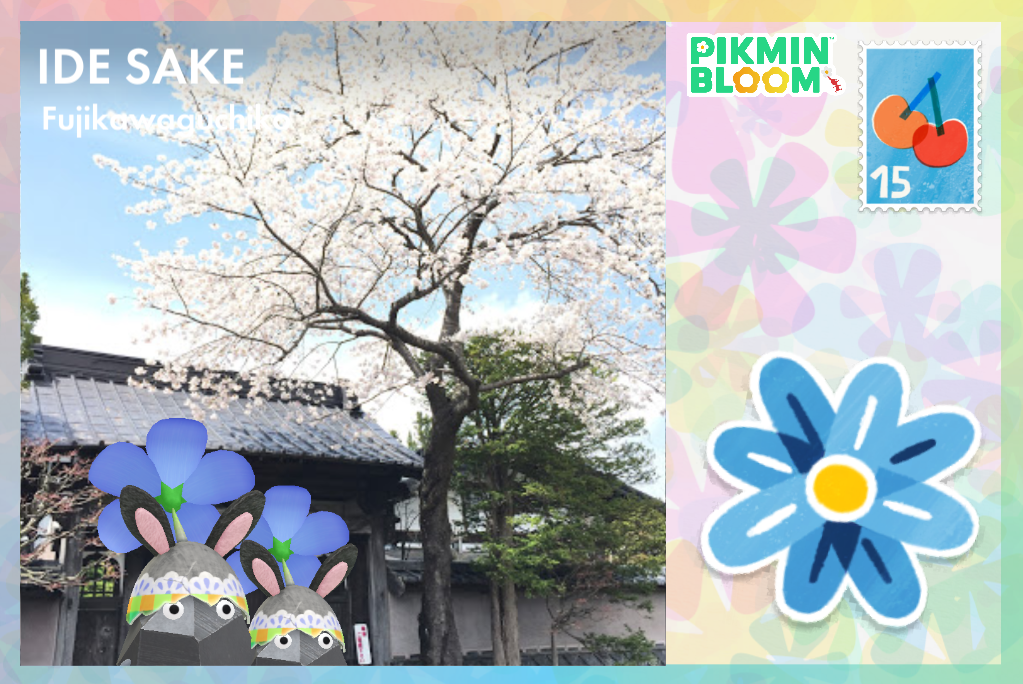 岳麓翠苑門口的花