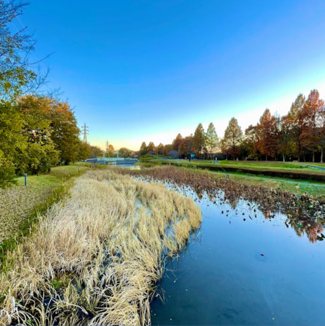 花の丘公園ビオトープ