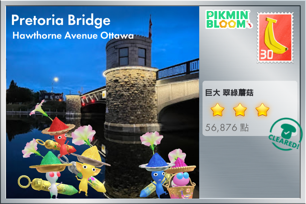 Pretoria Bridge, Ottawa, Canada