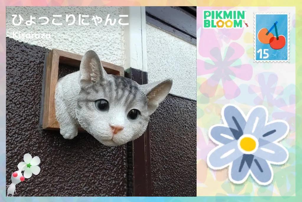 ひょっこりにゃんこ