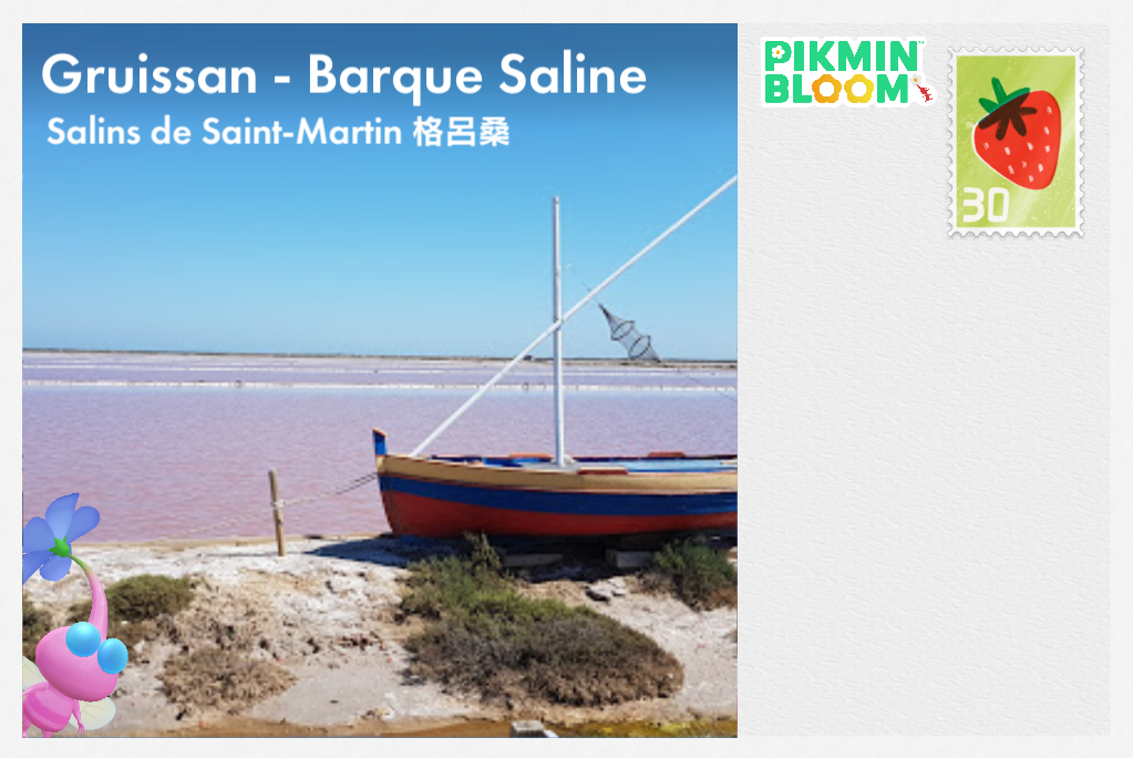Gruissan - Barque Saline