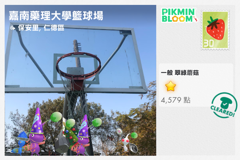 嘉南藥理大學籃球場