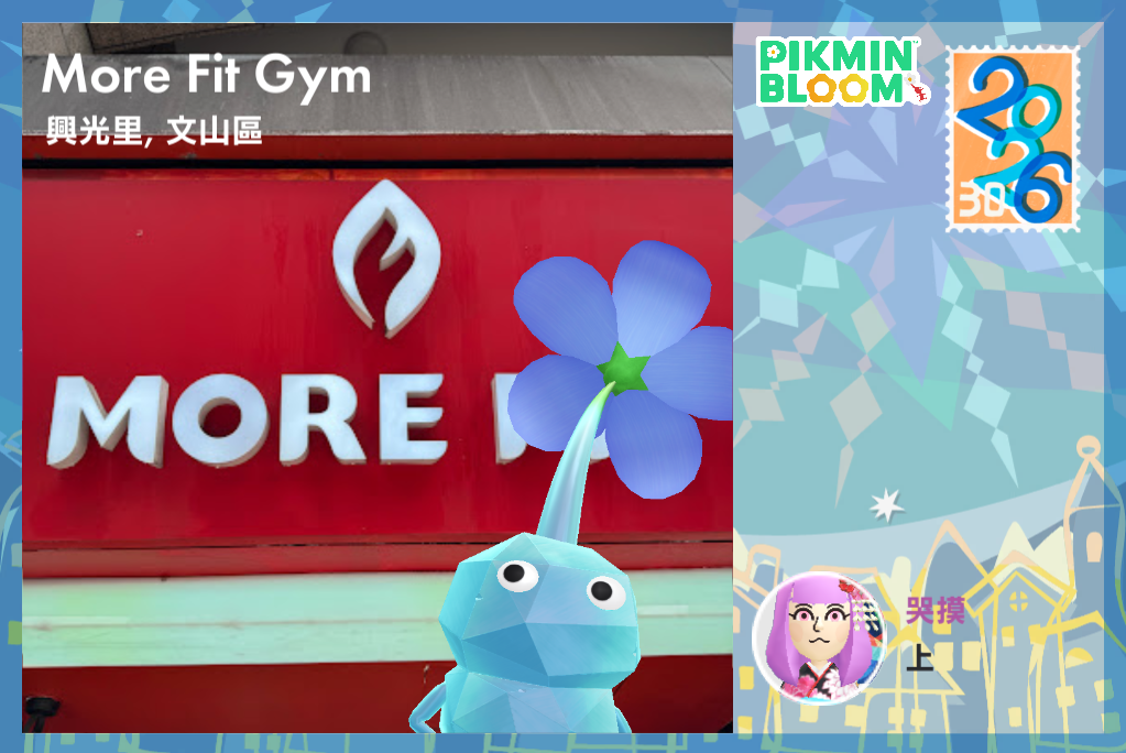 More Fit Gym