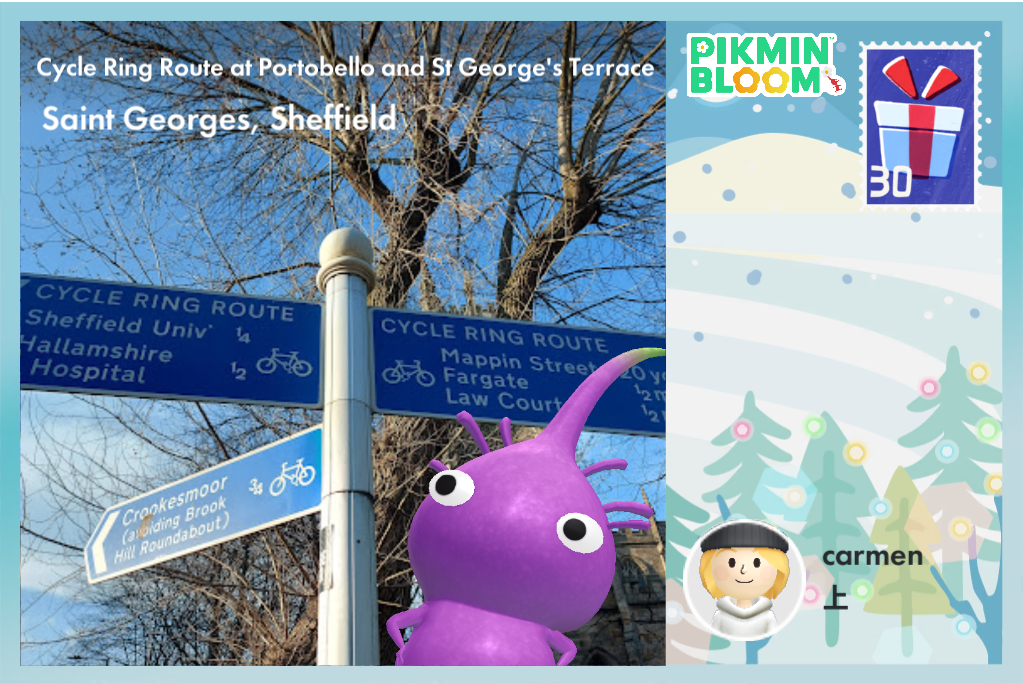 Cycle Ring Route at Portobello and St George's Terrace