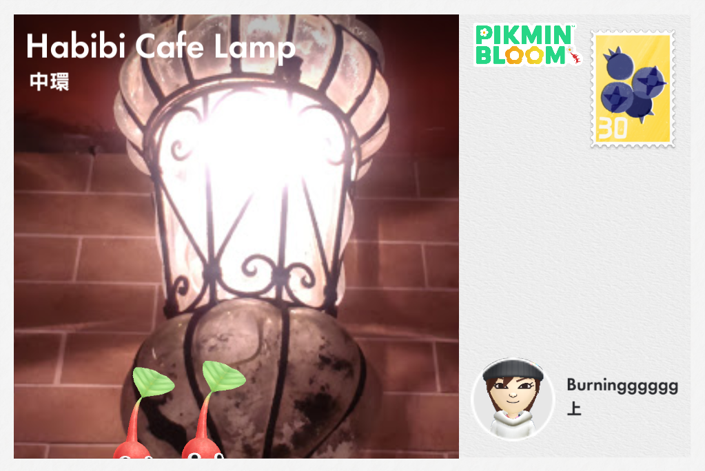 Habibi Cafe Lamp