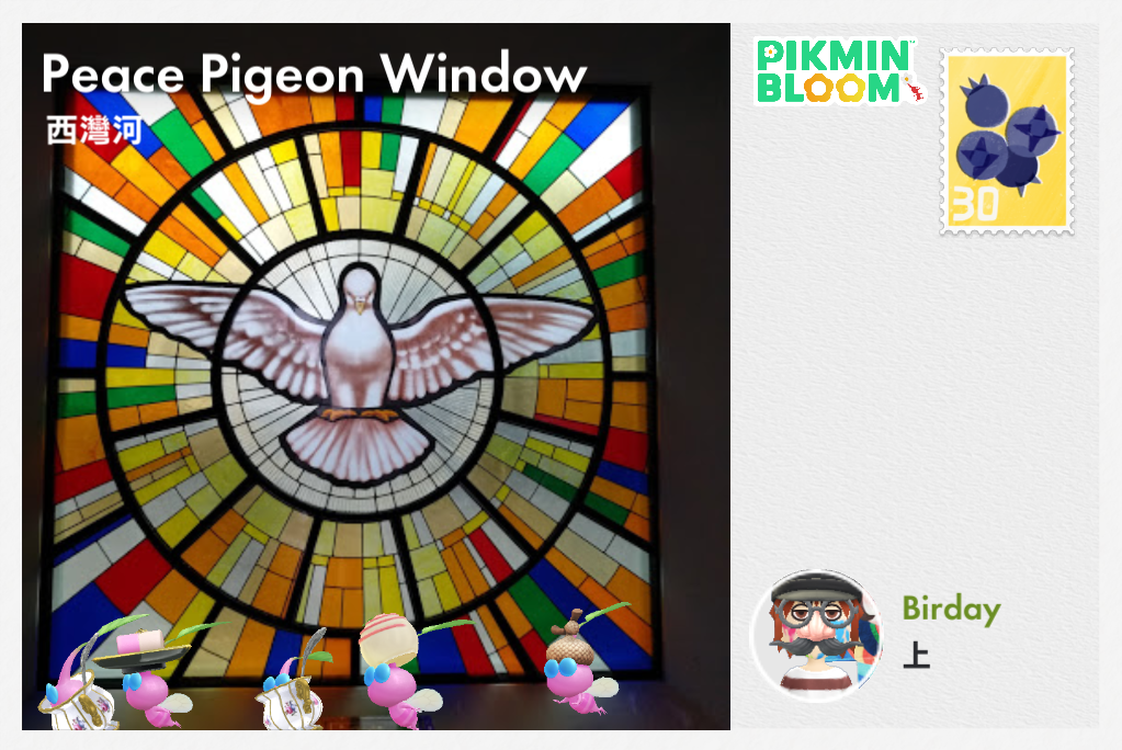 Peace Pigeon Window