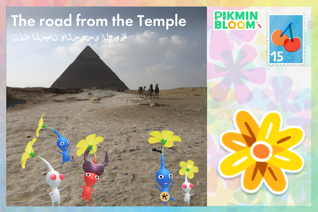 The road from the Temple