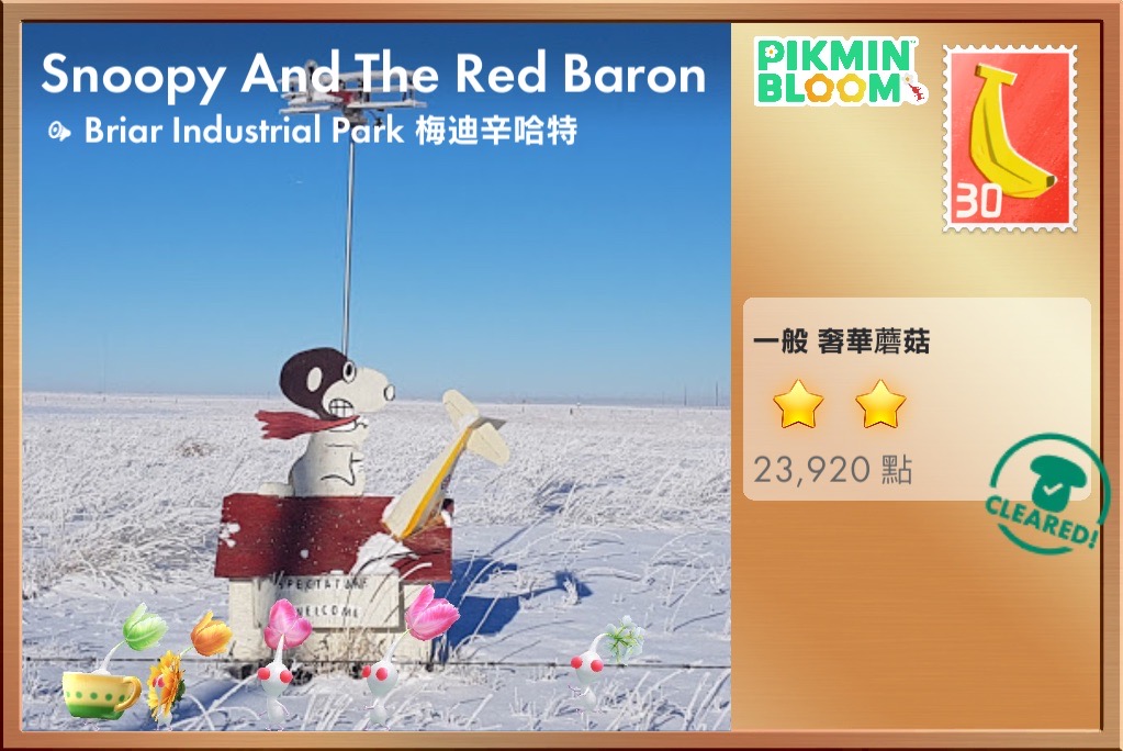 Snoopy And The Red Baron