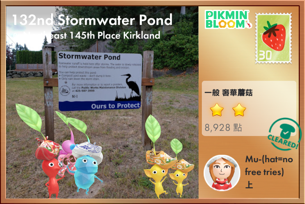 132nd Stormwater Pond