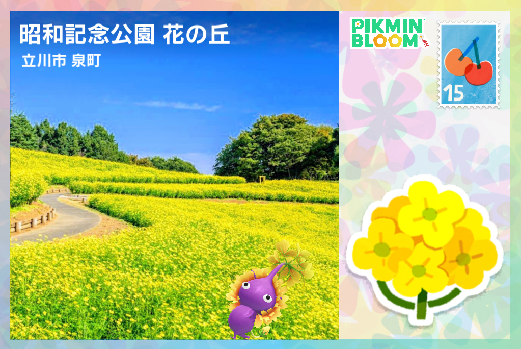 昭和記念公園 花の丘