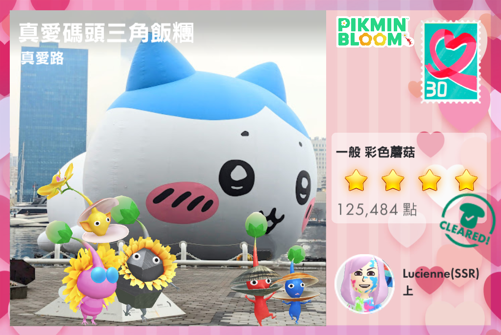 真愛碼頭三角飯糰