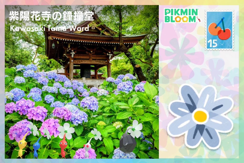 紫陽花寺の鐘撞堂