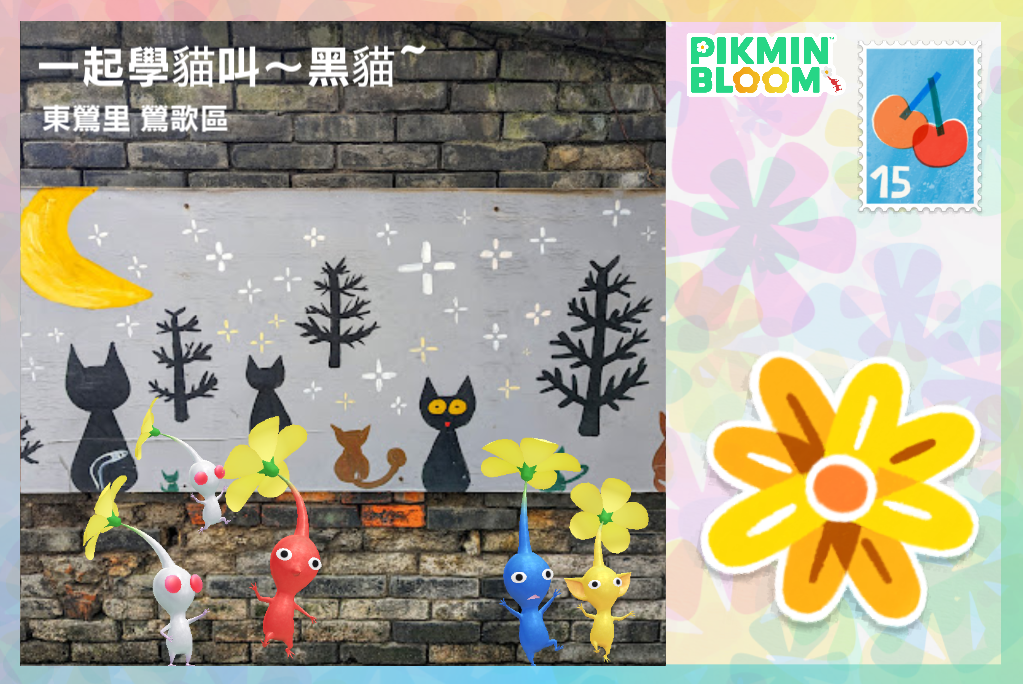 一起學貓叫～黑貓～