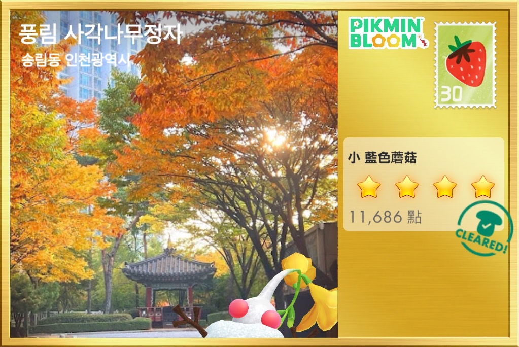 풍림 사각나무정자