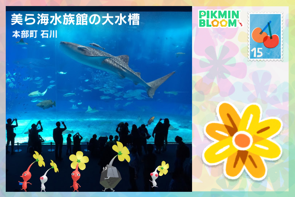 美ら海水族館の大水槽