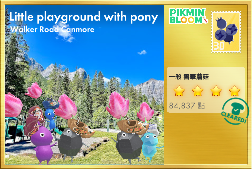 Little playground with pony