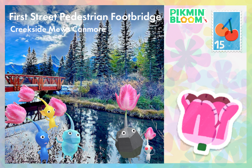 First Street Pedestrian Footbridge