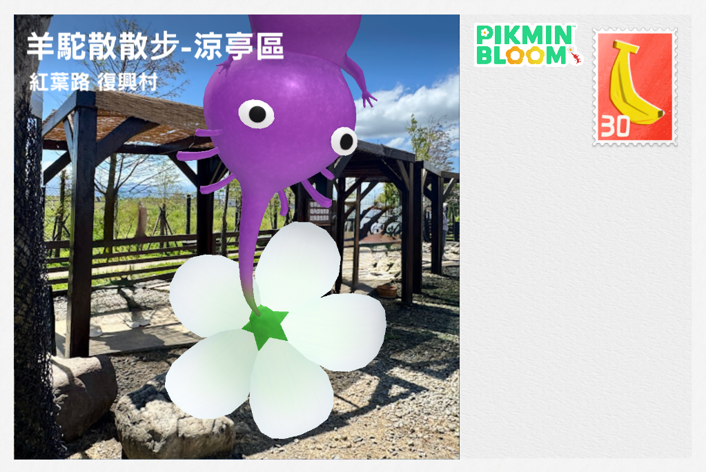 羊駝散散步-涼亭區