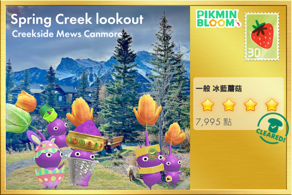 Spring Creek lookout