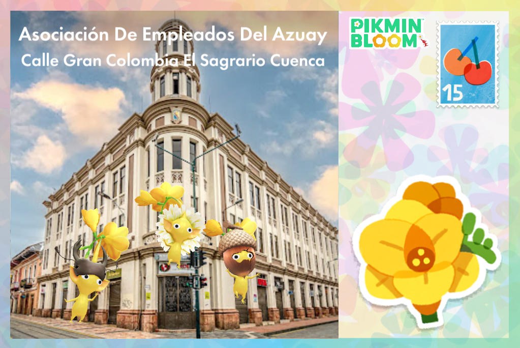 Asociación De Empleados Del Azuay